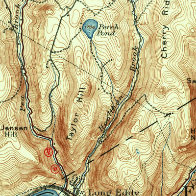 United States Geological Survey Long Eddy, NY-PA (1920, 62500-Scale) digital map