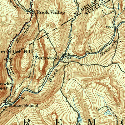 United States Geological Survey Long Eddy, NY-PA (1920, 62500-Scale) digital map