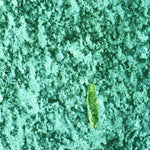 United States Geological Survey Long Island, FL (1973, 24000-Scale) digital map