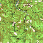 United States Geological Survey Long Lane, MO (1939, 62500-Scale) digital map