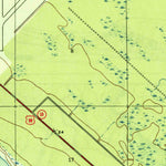 United States Geological Survey Long Point, FL (1944, 31680-Scale) digital map