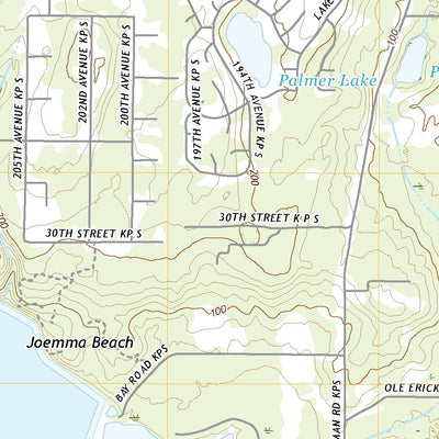 United States Geological Survey Longbranch, WA (2020, 24000-Scale) digital map