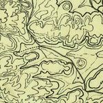 United States Geological Survey Longfellow, TX (1920, 125000-Scale) digital map