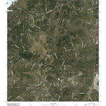 United States Geological Survey Longhorn Cavern, TX (2010, 24000-Scale) digital map
