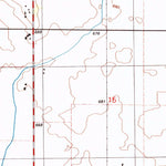 United States Geological Survey Longview, IL (1998, 24000-Scale) digital map