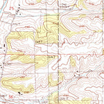 United States Geological Survey Loran, IL (1985, 24000-Scale) digital map
