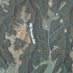 United States Geological Survey Loretto, KY (2010, 24000-Scale) digital map