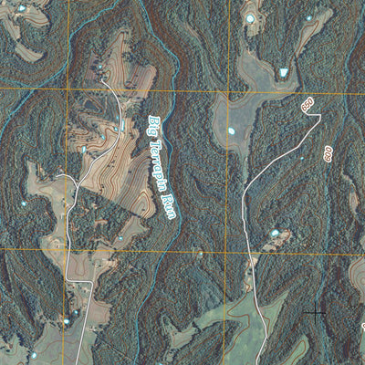 United States Geological Survey Loretto, KY (2010, 24000-Scale) digital map