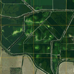 United States Geological Survey Los Ebanos NW, TX (2010, 24000-Scale) digital map