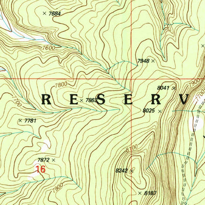 United States Geological Survey Los Indios Canyon, NM (2002, 24000-Scale) digital map