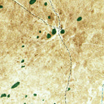 United States Geological Survey Lostmans Trail, FL (1972, 24000-Scale) digital map