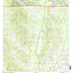 United States Geological Survey Louin SW, MS (2000, 24000-Scale) digital map
