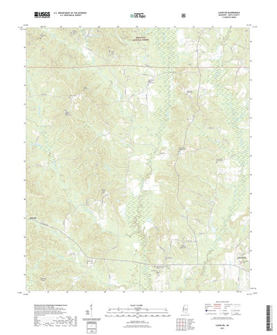 United States Geological Survey Louin SW, MS (2021, 24000-Scale) digital map