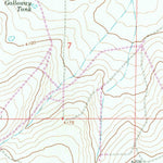 United States Geological Survey Lovelady Draw, NM (1967, 24000-Scale) digital map
