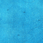 United States Geological Survey Lower Matecumbe Key, FL (1971, 24000-Scale) digital map