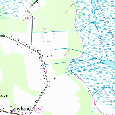 United States Geological Survey Lowland, NC (1950, 24000-Scale) digital map