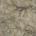 United States Geological Survey Lucky Lake, NM (2010, 24000-Scale) digital map