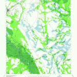 United States Geological Survey Ludowici, GA (1943, 62500-Scale) digital map
