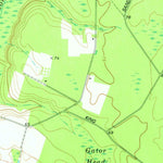 United States Geological Survey Ludowici, GA (1978, 24000-Scale) digital map