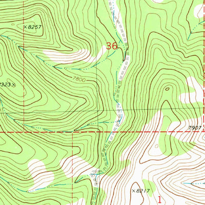 United States Geological Survey Luera Mountains East, NM (1981, 24000-Scale) digital map