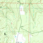 United States Geological Survey Lurton, AR (1980, 24000-Scale) digital map