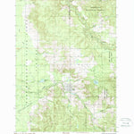 United States Geological Survey Luther, MI (1987, 24000-Scale) digital map