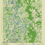 United States Geological Survey Lutz, FL (1944, 31680-Scale) digital map