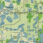 United States Geological Survey Lutz, FL (1944, 31680-Scale) digital map