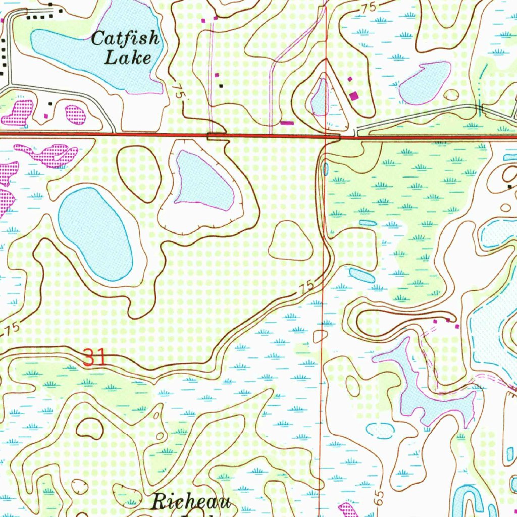 Lutz, FL (1974, 24000-Scale) Map by United States Geological Survey ...