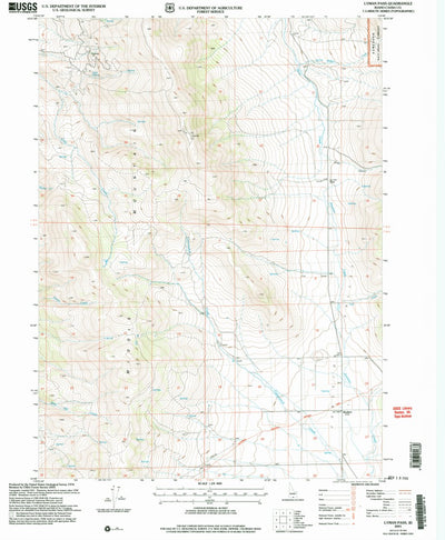 United States Geological Survey Lyman Pass, ID (2001, 24000-Scale) digital map