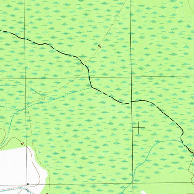 United States Geological Survey Lynchs Corner, NC (1982, 24000-Scale) digital map