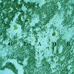 United States Geological Survey Madeira Bay, FL (1972, 24000-Scale) digital map