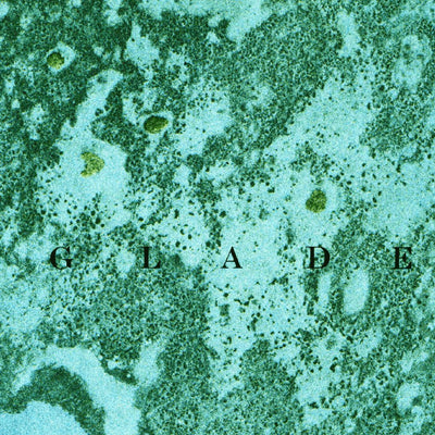 United States Geological Survey Madeira Bay, FL (1972, 24000-Scale) digital map
