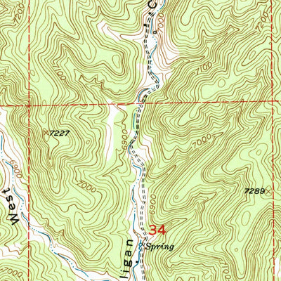 United States Geological Survey Madrid, CO (1951, 24000-Scale) digital map