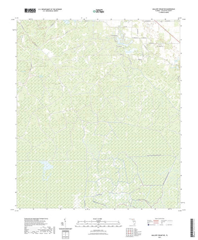 United States Geological Survey Mallory Swamp NE, FL (2021, 24000-Scale) digital map