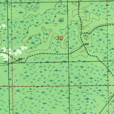United States Geological Survey Mallory Swamp NW, FL (1956, 25000-Scale) digital map