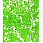 United States Geological Survey Mammoth Spring, AR-MO (1962, 24000-Scale) digital map