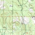 United States Geological Survey Mancelona, MI (1985, 24000-Scale) digital map