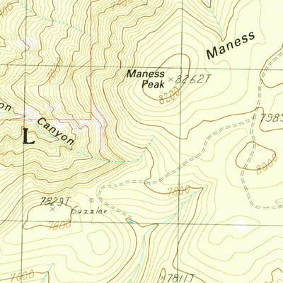 United States Geological Survey Maness Peak, AZ-NM (1991, 24000-Scale) digital map