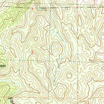 United States Geological Survey Mangas Springs, NM (1990, 24000-Scale) digital map