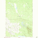 United States Geological Survey Manning, MI (1982, 25000-Scale) digital map