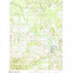 United States Geological Survey Manton, MI (1983, 25000-Scale) digital map
