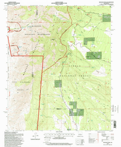 United States Geological Survey Manzano Peak, NM (1995, 24000-Scale) digital map