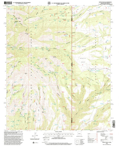 United States Geological Survey Maple Peak, AZ-NM (1997, 24000-Scale) digital map