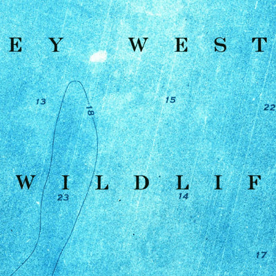United States Geological Survey Marquesas Keys East, FL (1971, 24000-Scale) digital map