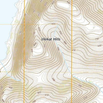 United States Geological Survey Marshall D-8 NE, AK (2020, 25000-Scale) digital map