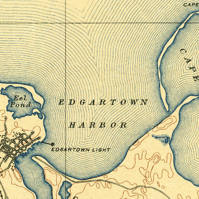 United States Geological Survey Marthas Vineyard, MA (1889, 62500-Scale) digital map