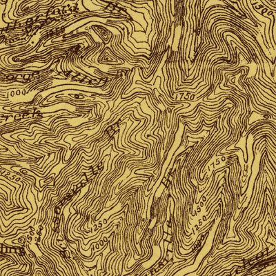 United States Geological Survey Matewan, WV-KY-VA (1915, 48000-Scale) digital map