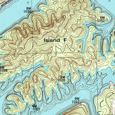 United States Geological Survey Maynardville, TN (1952, 24000-Scale) digital map