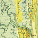 United States Geological Survey Mayport, FL (1918, 62500-Scale) digital map